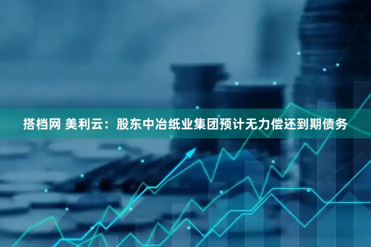 搭档网 美利云：股东中冶纸业集团预计无力偿还到期债务