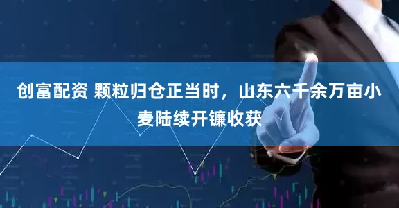 创富配资 颗粒归仓正当时，山东六千余万亩小麦陆续开镰收获