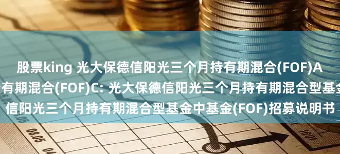 股票king 光大保德信阳光三个月持有期混合(FOF)A,光大保德信阳光三个月持有期混合(FOF)C: 光大保德信阳光三个月持有期混合型基金中基金(FOF)招募说明书