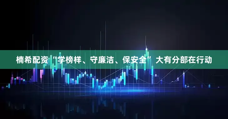 楠希配资 “学榜样、守廉洁、保安全” 大有分部在行动